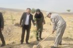 پویش نهال‌کاری در ورزشگاه یادگار امام (ره) تبریز برگزار شد