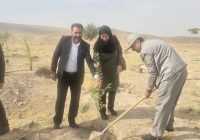 پویش نهال‌کاری در ورزشگاه یادگار امام (ره) تبریز برگزار شد
